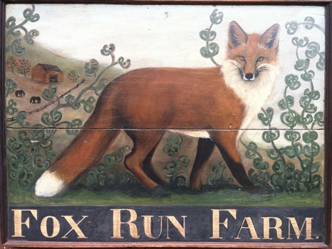 fox_run.jpg